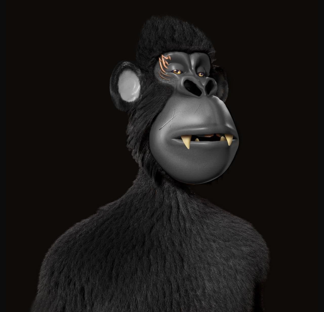 No Image Found